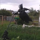 Halloween Scream ScareCrow